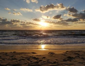 Ocean view in the Outer Banks